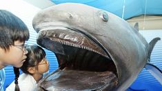 two children looking at a fake shark with its mouth open