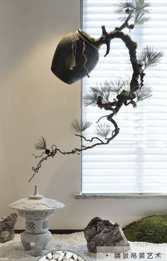 a bonsai tree in the middle of a room with rocks and moss on the floor