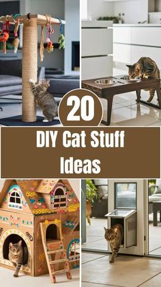 20 diy cat stuff ideas that are easy to make and great for your cats