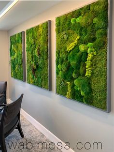 three paintings of green plants are hanging on the wall next to a dining room table