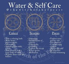 the zodiac symbols for water and self care are shown in this graphic above it is an image