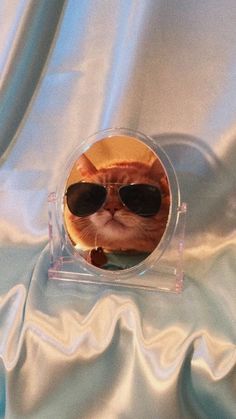 a cat wearing sunglasses looking through a magnifying glass on a blue satin background