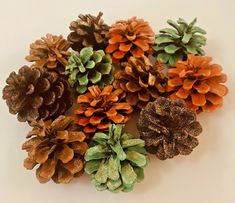 several pine cones are arranged together on a white surface with green and orange leaves in the center