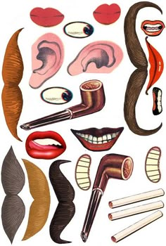 an assortment of different types of hair and makeup