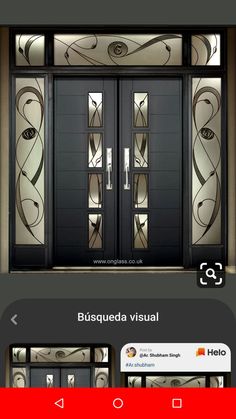 an image of the front door of a building with glass and metal designs on it