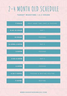 the event schedule for 2 - 4 month old schedule is shown in blue and pink