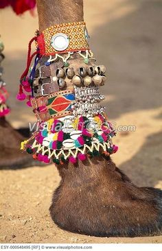 a horse's leg with colorful bracelets and bells on its feet in the dirt