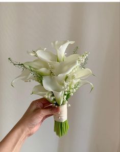 a hand holding a bouquet of white flowers