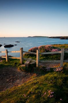 two wooden benches sitting on top of a lush green hillside next to the ocean with pink flowers