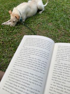 a dog laying on the grass next to an open book with its paw in it's mouth