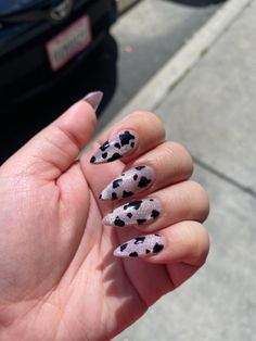 Sparkly Cow Print Nails, Purple Cowprint Nails, Glitter Cow Nails, Chrome Cow Print Nails, Gel Nails Cow Print, Glitter Cow Print Nails, Almond Cow Print Nails, Purple Cow Nails, Purple Cow Print Nails