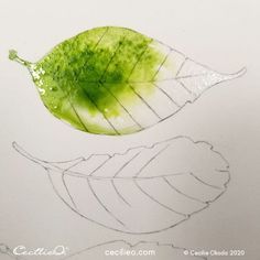 a drawing of a green leaf on white paper