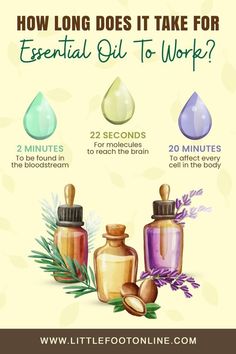 Which Essential Oils Do What, Essential Oil Content Ideas, Essential Oils For Breathing, Essential Oil Combinations, Essential Oil Education, Essential Oils 101, Herbs Garden, Healing Essential Oils, Young Living Essential Oils Recipes