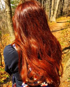 Lush Henna Hair Dye, Natural Redheads, Gold Hair Colors, Fire Hair, Hair Color Rose Gold, Beautiful Red Hair