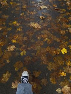 the person is riding their skateboard down the street in front of some trees with yellow leaves on it