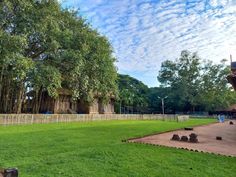 a large grassy field with trees in the background