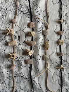 Choker necklaces made from real opossum bones found while hiking as were the quartz Syle 1: Black band, two vertebrae Style 2: Tan band, vertebrae and ribs Style 3: tan band, vertebrae only Style 4: Black band, three vertebrae  All findings are made from nickel-free iron.  Bones were found while hiking, cleaned, and degreased. Adjustable Natural Jewelry With Natural Variations, Bohemian Bone Colored Jewelry For Festivals, Bohemian Bone-colored Jewelry For Festival, Adjustable Bone-colored Jewelry For Festivals, Adjustable Bone-colored Jewelry For Festival, Handmade Spiritual Bone-colored Jewelry, Handmade Bone-colored Spiritual Jewelry, Adjustable Bone Color Jewelry For Festival, Bone Color Bohemian Adjustable Necklace