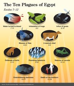 the ten plagues of egypt, including animals and birds in different stages of life