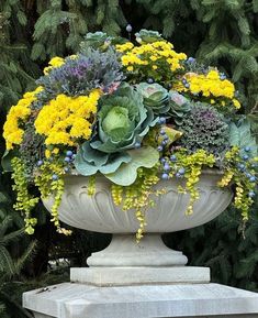 a planter filled with yellow flowers and green plants next to evergreens in the background