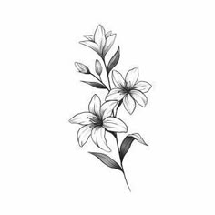 Jasmine Flower Tattoo, Stargazer Lily Tattoo, Jasmine Tattoo, Lily Flower Tattoos, Vine Tattoos, Lily Tattoo, Floral Tattoo Design, Tattoo Style Drawings, Horror Tattoo