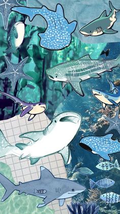 an underwater scene with many different types of sharks and other marine animals in the water