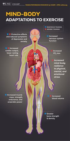 Regular #exercise causes physiological adaptations to your whole body. Our infographic shows how regular #training can improve your military fitness! #TotalForceFitness Healthy Dieting, Fitness Test, Exercise Physiology, Fallout 3, Resistance Training, Military Service, The More You Know