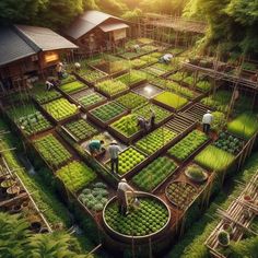 an aerial view of a garden with people working in the center and surrounded by trees