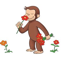 a monkey holding flowers in its mouth and looking at it's own face with the other hand