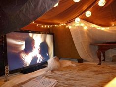 a white dog laying on top of a bed under a canopy next to a tv