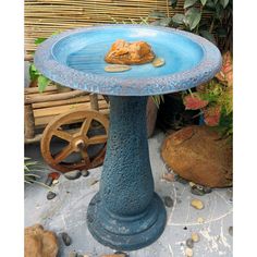 a blue bird bath sitting on top of a table next to some rocks and plants