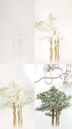 four different pictures of trees and branches in various stages of growth, with the same drawing on paper