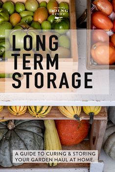 long term storage is an easy way to store your garden haul at home and save money