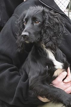 a man holding a black and white dog in his lap while wearing a jacket with an attached collar