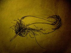 a drawing of a feather on a piece of paper