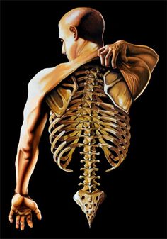 a painting of a man's back and shoulder with the skeleton visible in it