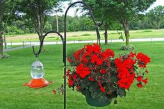 a bird feeder hanging from a pole next to a flower pot filled with red flowers