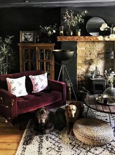 two dogs sitting on the floor in front of a fire place and couches with pillows