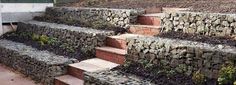 several stone steps with plants growing on them