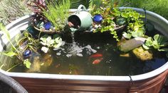 a garden pond filled with lots of plants and water flowing from a watering can into it