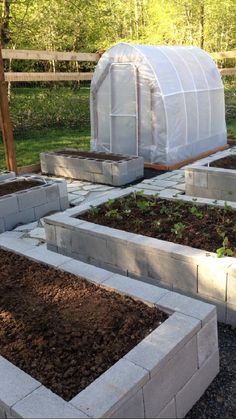 several raised garden beds with plants growing in them