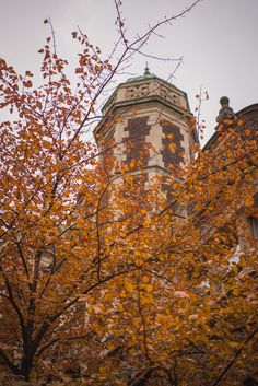 an old building is surrounded by autumn leaves and trees in the foreground, with a clock tower behind it