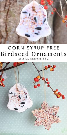 corn syrup free bird seed ornaments hanging from a tree branch with berries on it and text overlay that reads corn syrup free birdseed ornaments