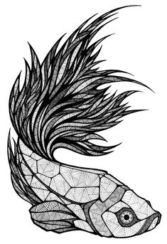 a drawing of a fish with feathers on it's head