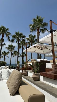 an outdoor seating area with umbrellas and palm trees