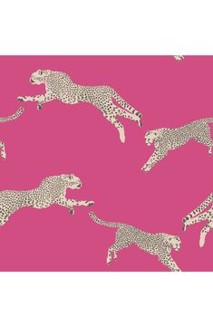 a pink background with cheetah running in the same direction