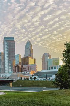 a city skyline is shown with tall buildings in the foreground and green grass on the ground