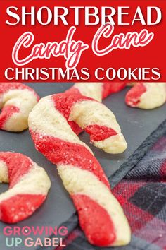 shortbread candy cane christmas cookies on a baking sheet with text overlay reading shortbread candy cane christmas cookies growing up gable