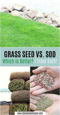 grass seed vs sod which is better? i tried both