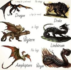 the different types of dragon's wings are shown in this drawing, which shows their names