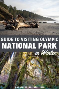 the olympic national park in winter with text overlay that reads guide to visiting olympic national park in winter